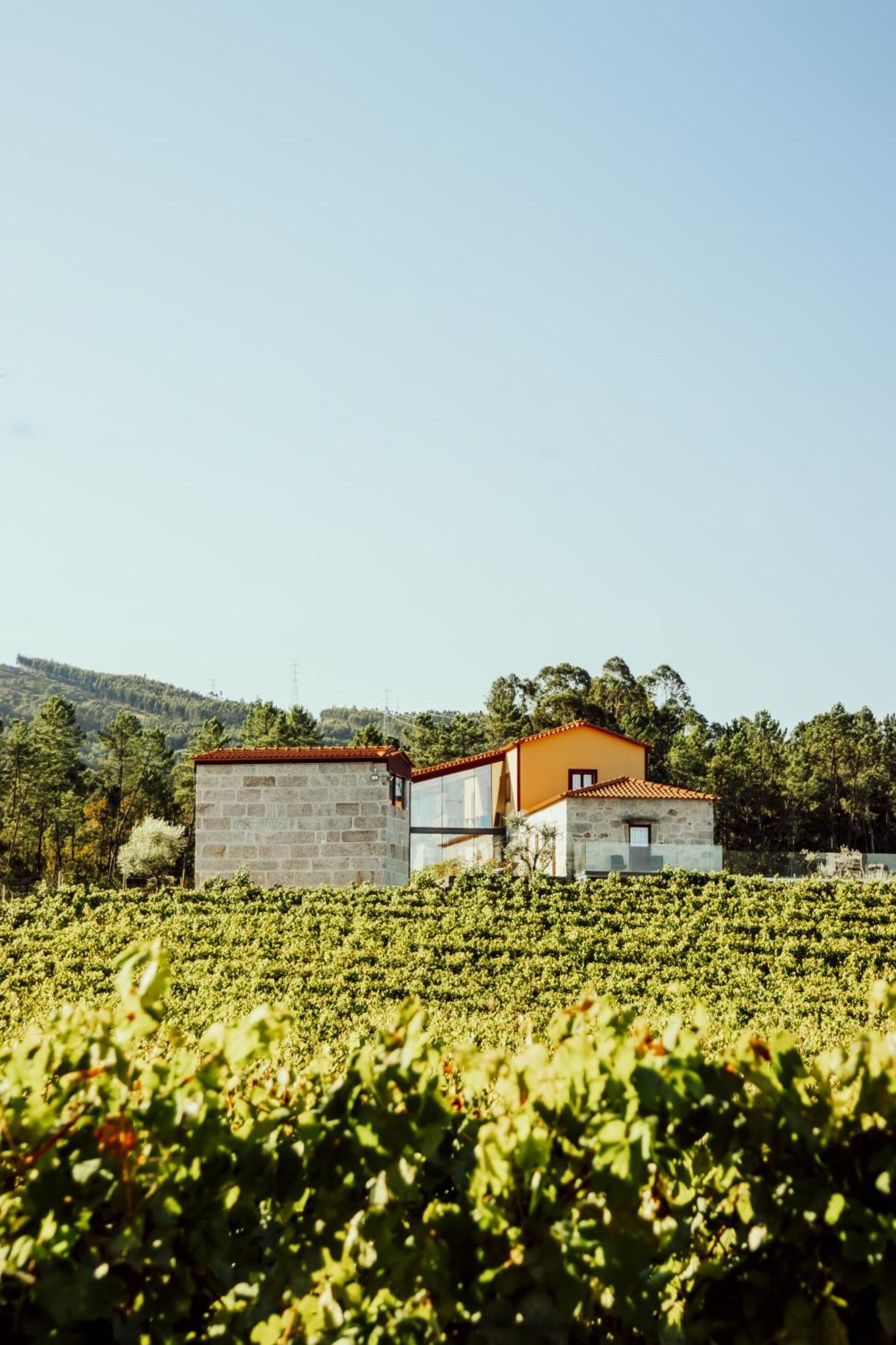 Вилла Quinta Das Areias - Solar Da Pena Брага Экстерьер фото